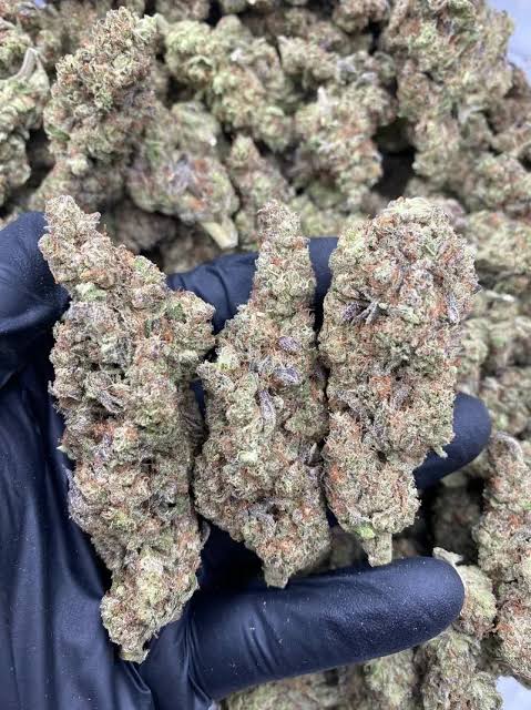 sour og strain