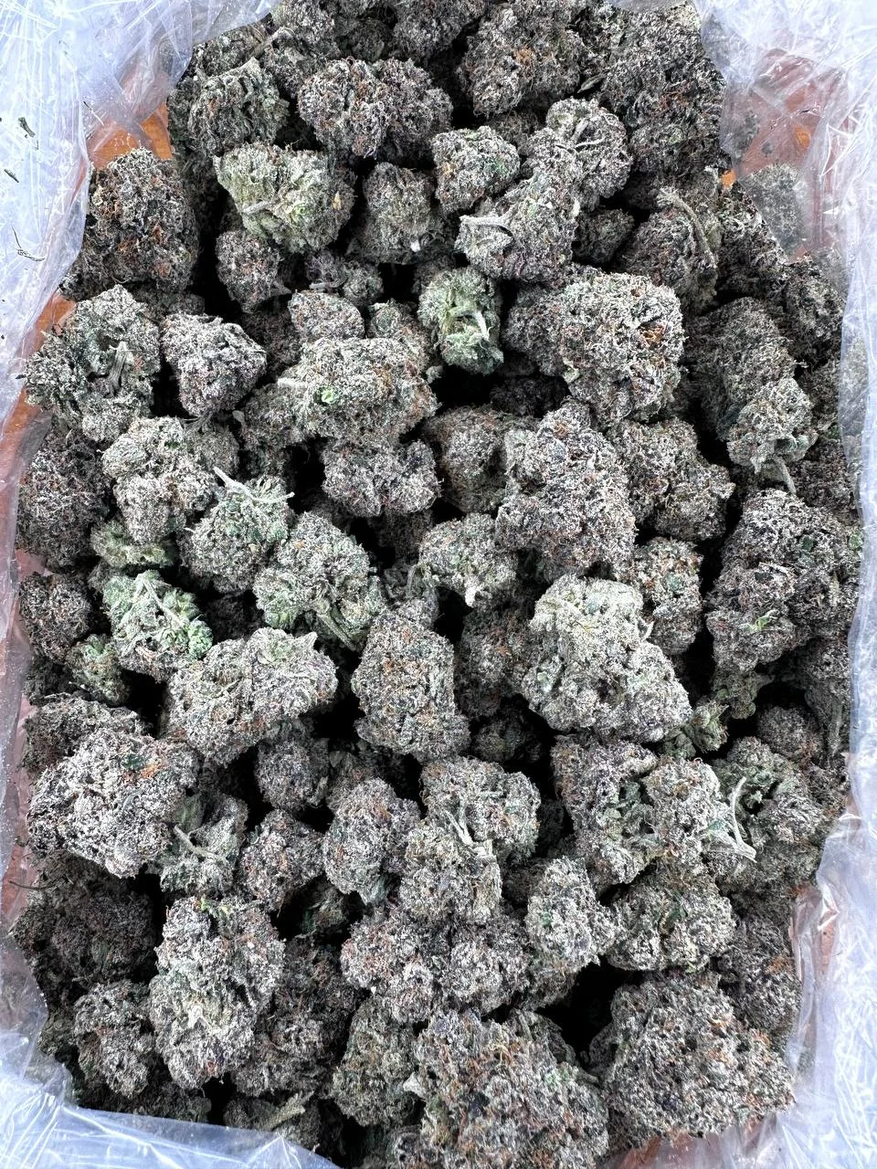 white gumbo strain